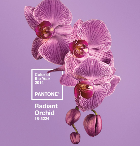 Pantone 2014 Color Of The Year - Radiant Orchid